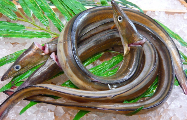 三田和食ランチ鱧